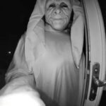 horror movie villain intruders